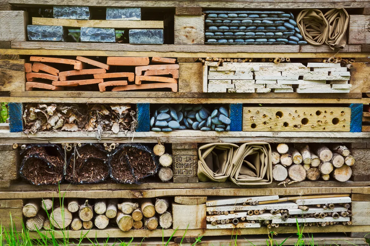 A bug hotel made using pallets