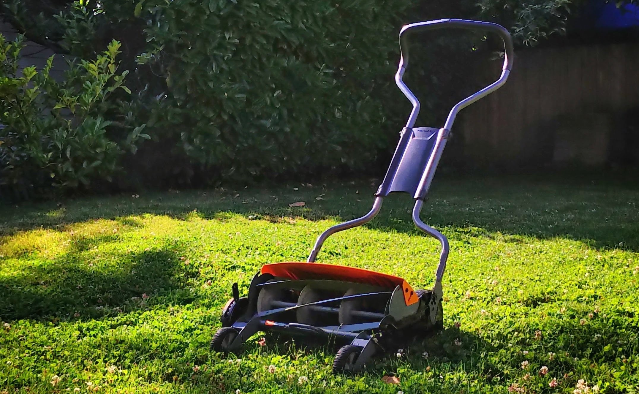 Master the art of mowing with the best push mowers for summer 2024 -  Gardens Illustrated