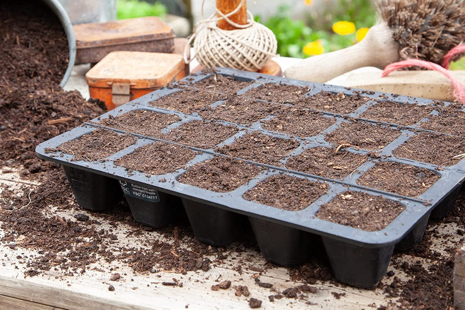 Never Miss a Planting Date - Seed Storage Box Organization!
