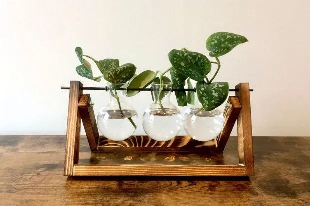 Propagation station on a wooden table