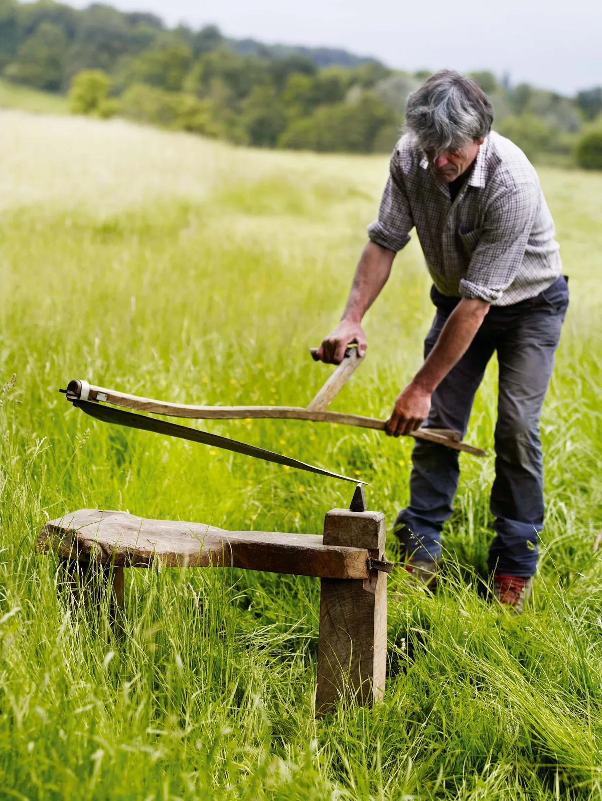 Simon Damant scything in a field at the Wimpole Estate