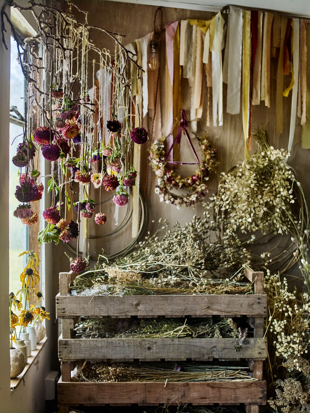 Bex's studio with hanging dahlias