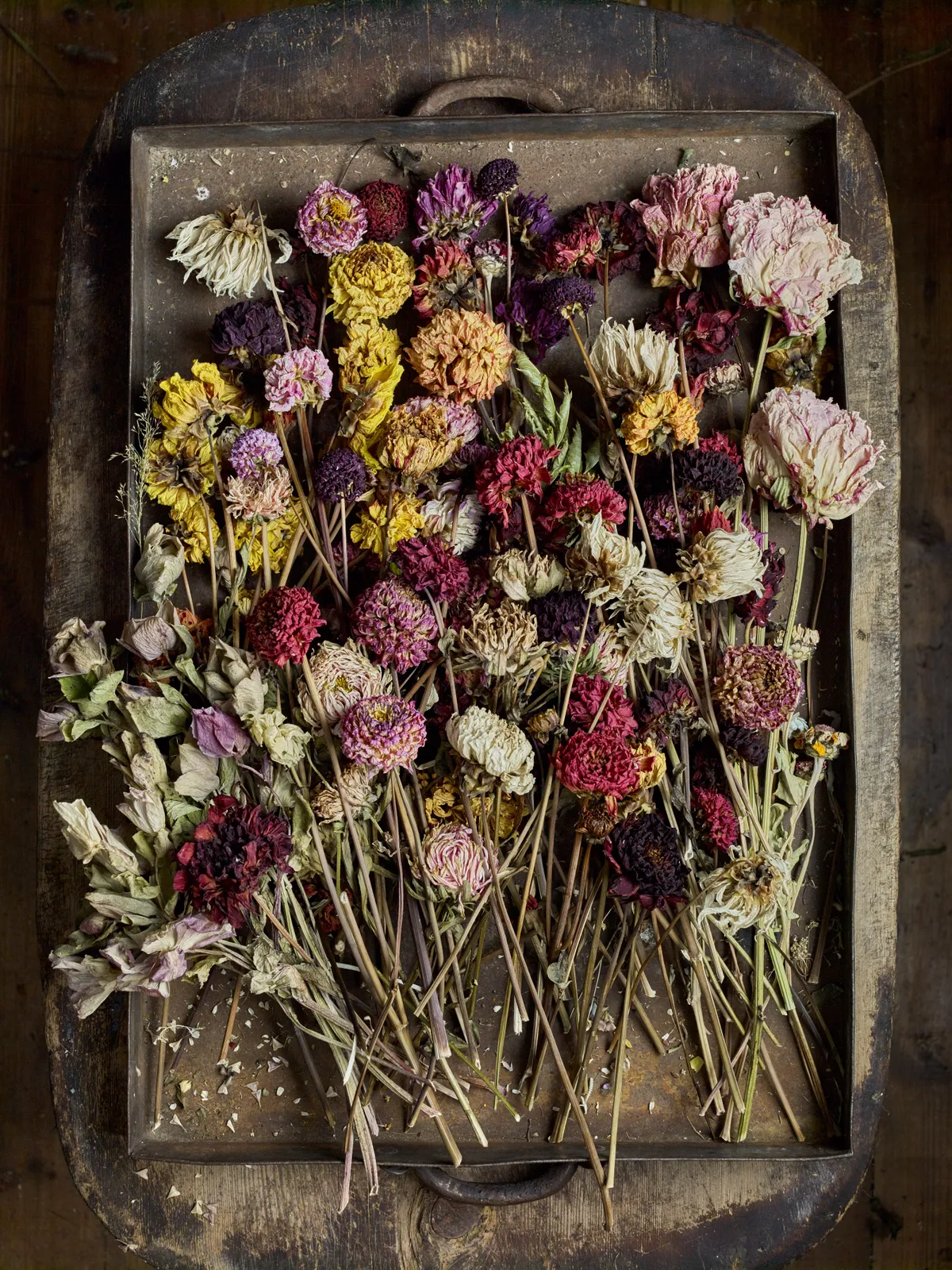 Muted tones of dried flowers in Bex Partridge's studio