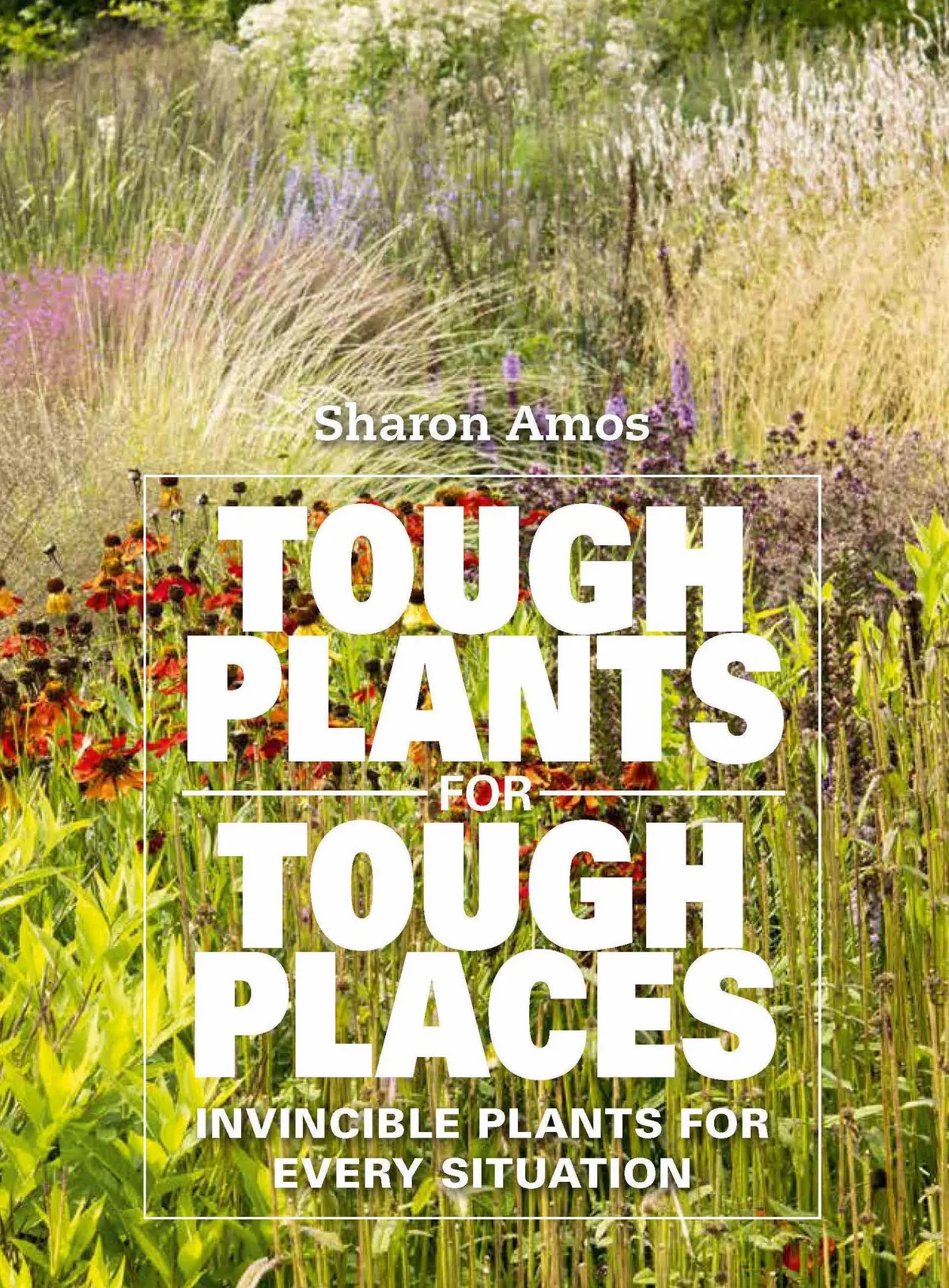 Tough Plants for Tough Places by Sharon Amos Tough Plants for Tough Places by Sharon Amos