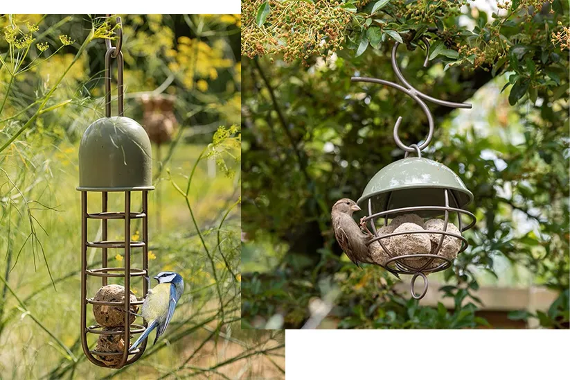 Crocus hanging bird feeders in gardens
