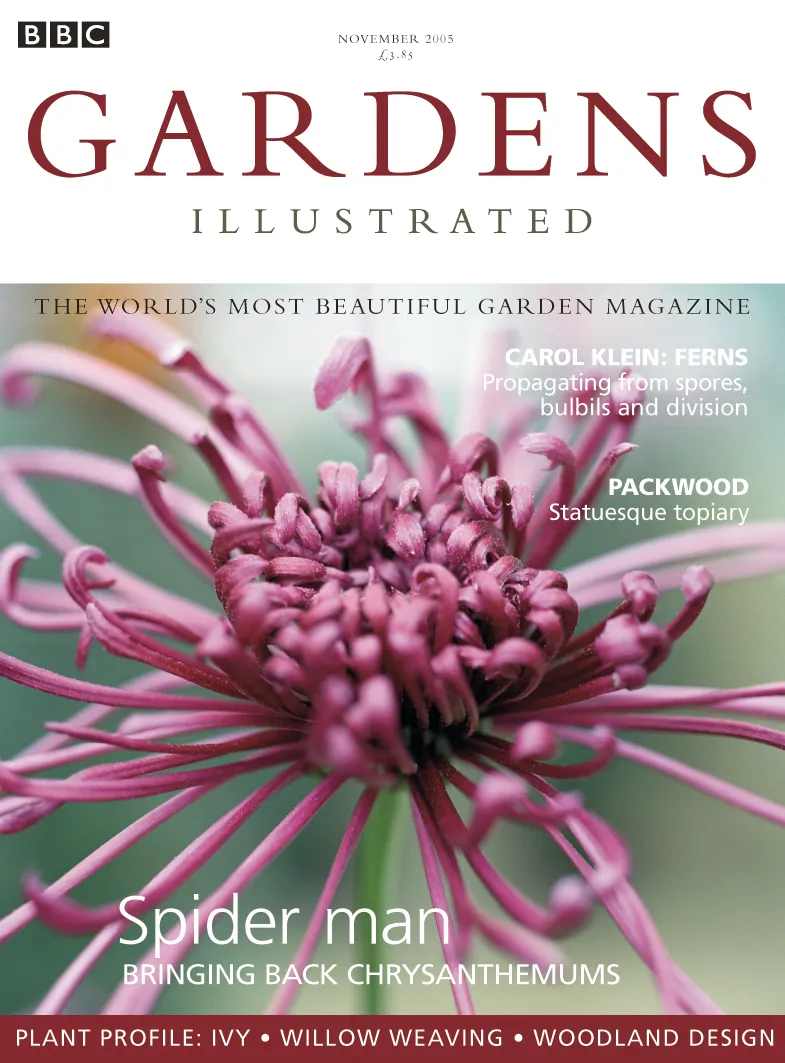 Gardens Illustrated issue 107 cover