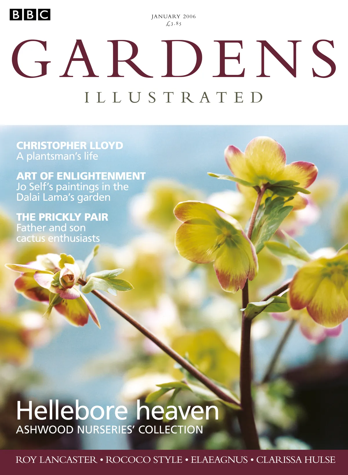 Gardens Illustrated issue 109 cover