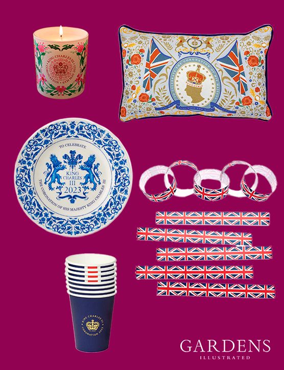 Best Coronation party decorations & tableware for garden celebrations ...