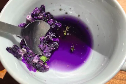 purple natural ink