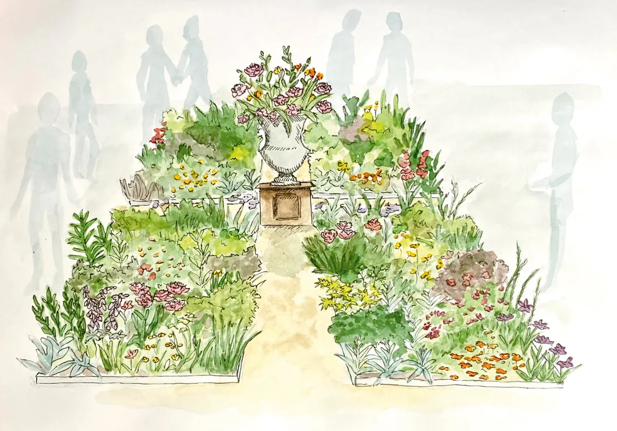 Illustration of Claire Austin Hardy Plants' stand at Chelsea