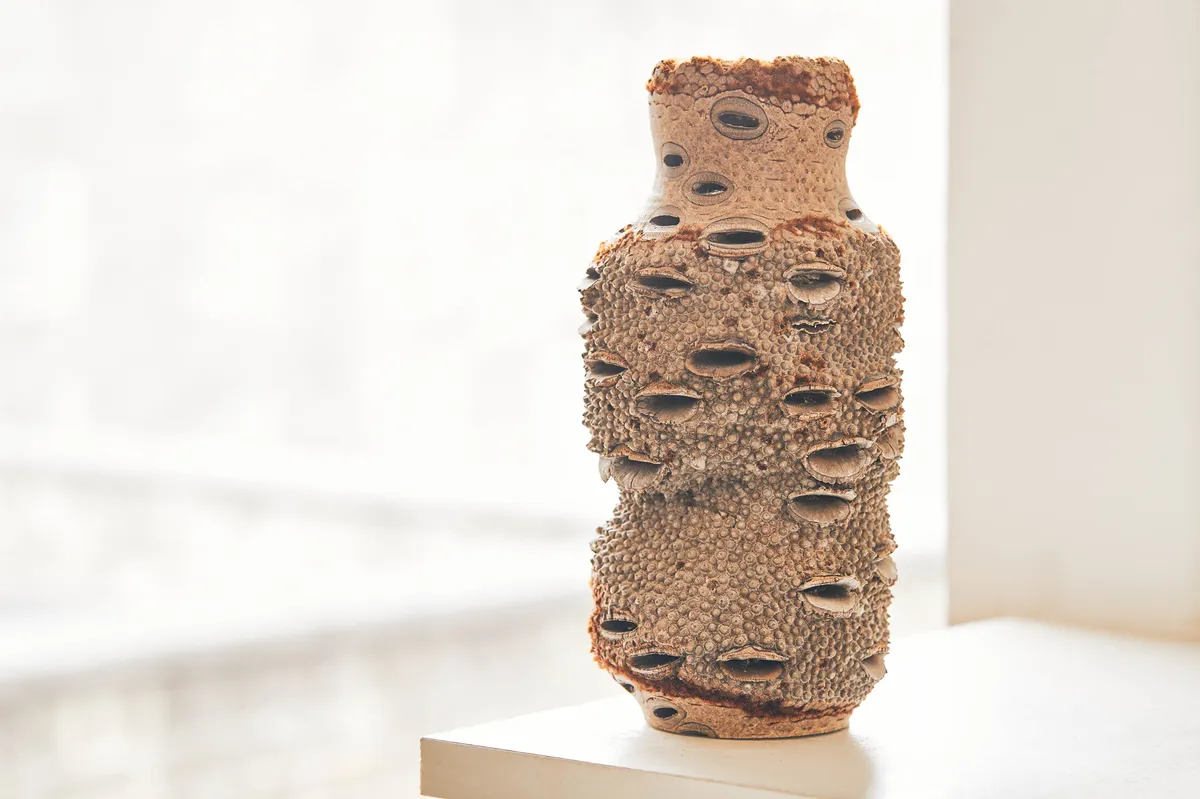 Banksia Vessel, made from the hard, woody remains of the seedpod of the Australian Banksia tree.
