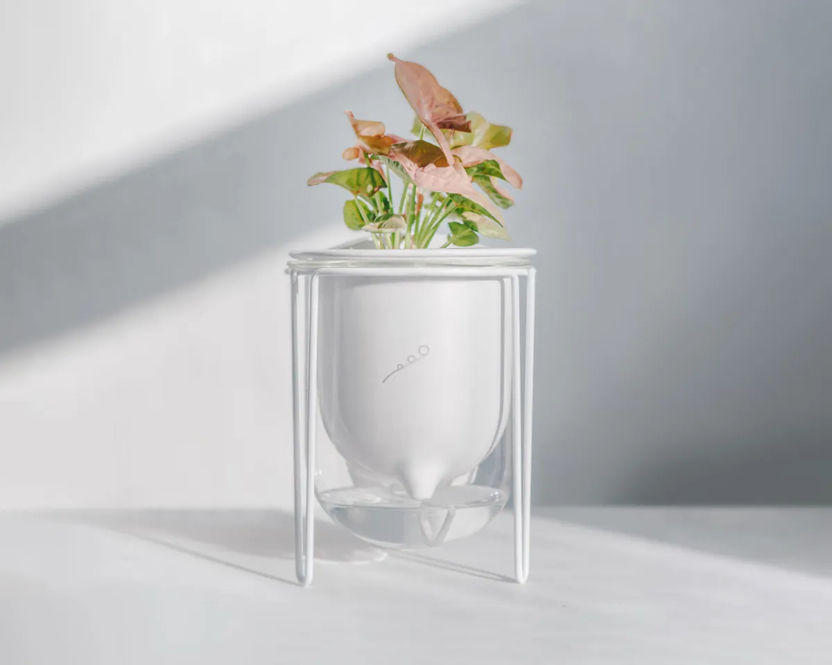 Frond - Flo self watering planter