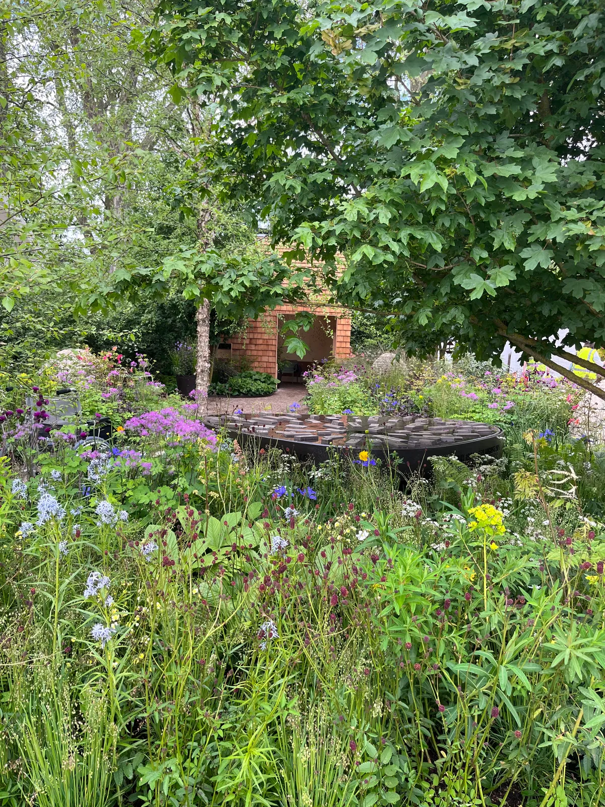 CHARLOTTE AND BURLINGTON'S FLORAL GARDEN : THE BLUEBELL – Charlotte sy Dimby