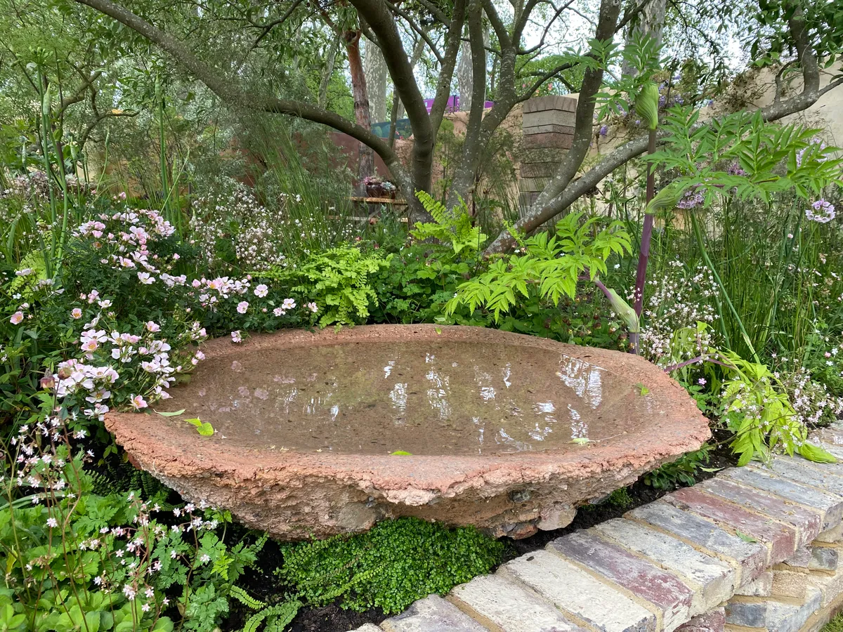 Water bowl on the Nurture Landscapes Garden