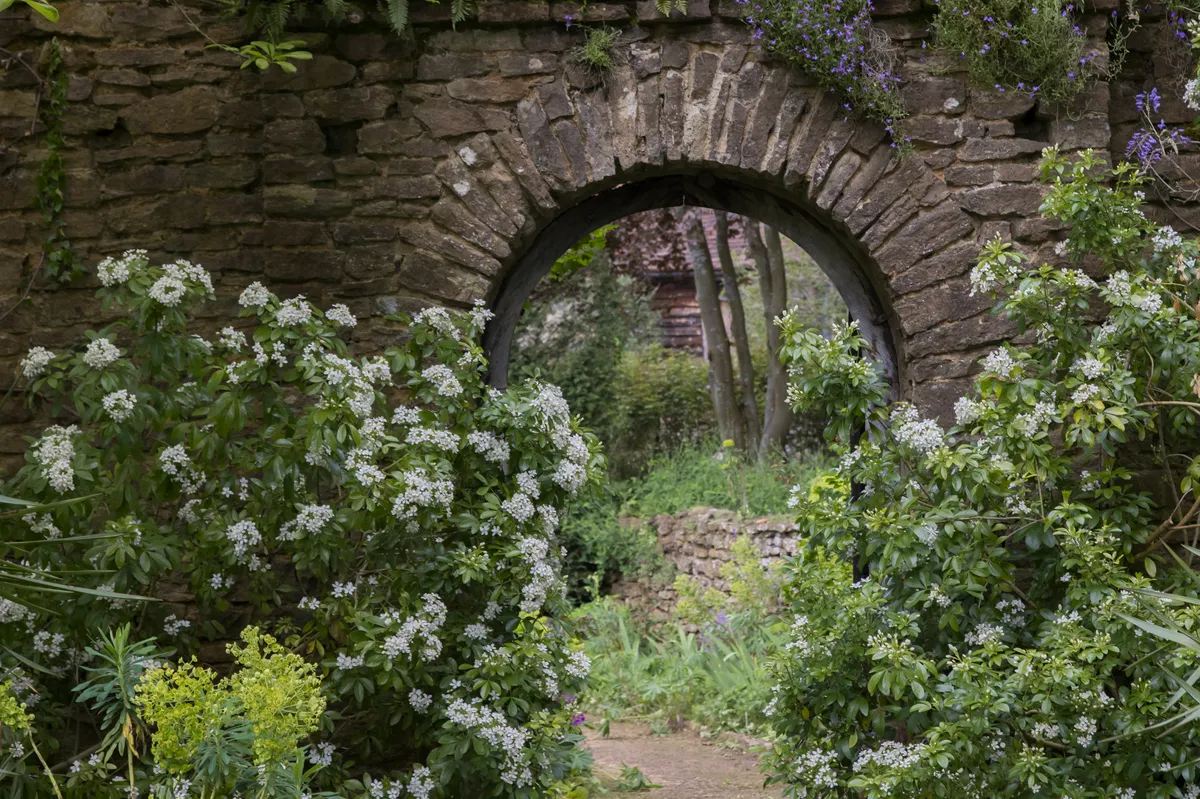 View through into the Summer Garden from the herbaceous border.