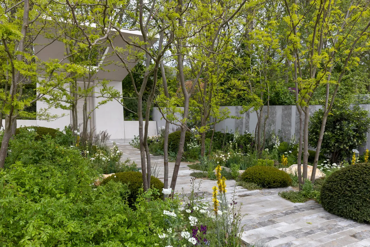 Chelsea Flower Show Garden 2023: Memoria & GreenAcres Transcendence Garden. Designed by Gavin McWilliam and Andrew Wilson. Sponsored by Darwin Alternative Investment Management.
