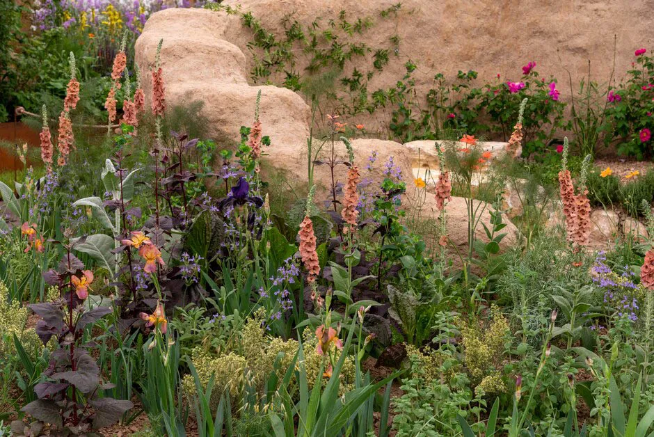 The Choose Love Garden. Designed by Jane Porter. All About Plants. RHS Chelsea Flower Show 2023.