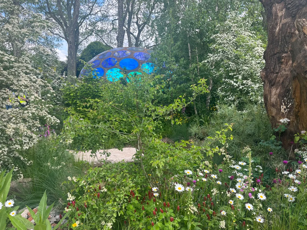 Chelsea Flower Show Garden 2023: The Royal Entomological Society Garden. Designed by Tom Massey. Sponsored by Royal Entomological Society and Project Giving Back.