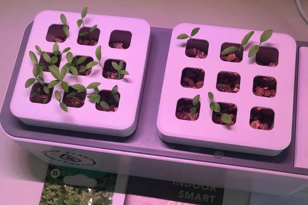 Urban Plant Growers Indoor Smart Garden Combo Kit