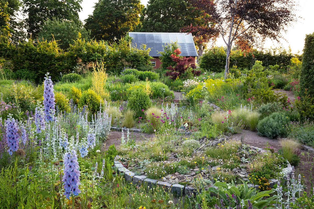 Peter Korn's new experimental garden