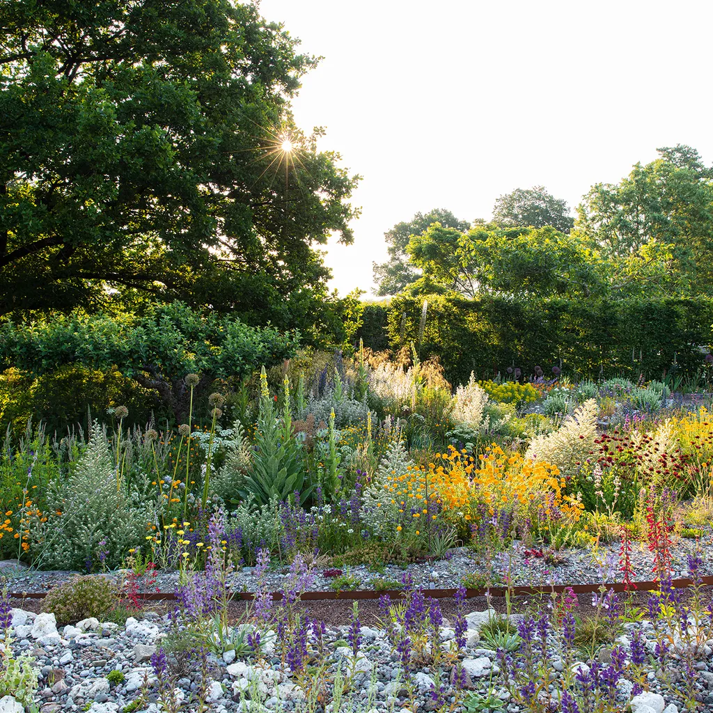 Peter Korn's new experimental garden