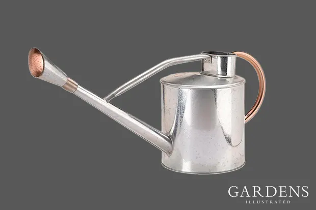 Style Selections White and Transparent Plastic Traditional Watering Can in  the Watering Cans department at