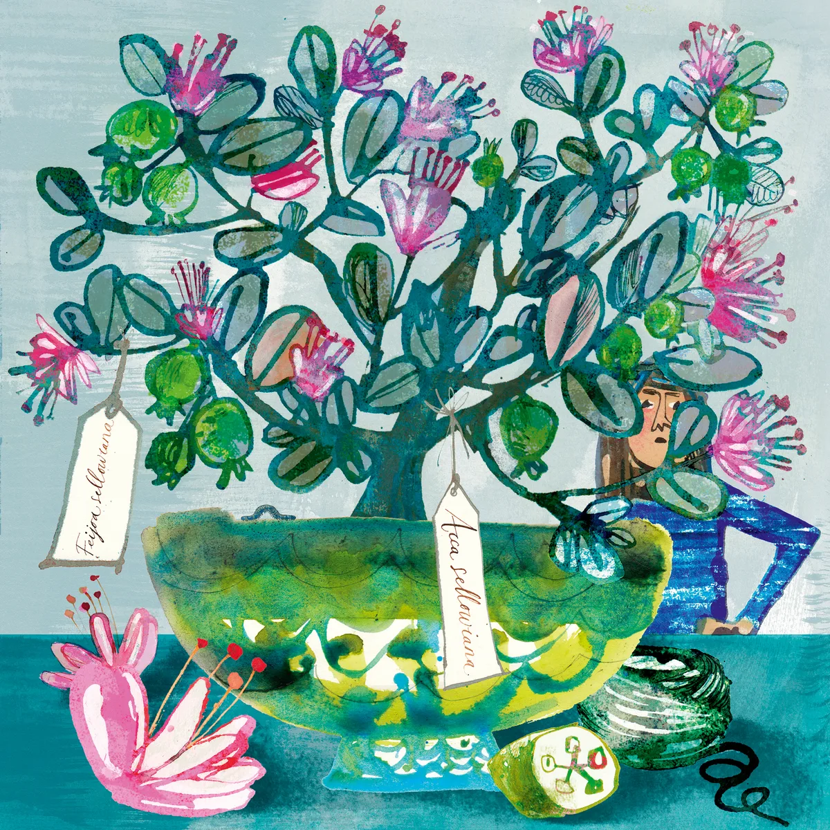 Plant taxonomy changes Plant taxonomy changes
