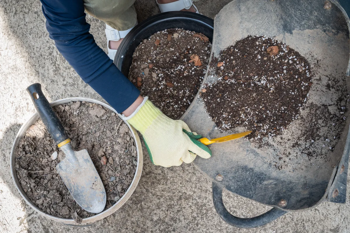 Preparing soil with rock dust