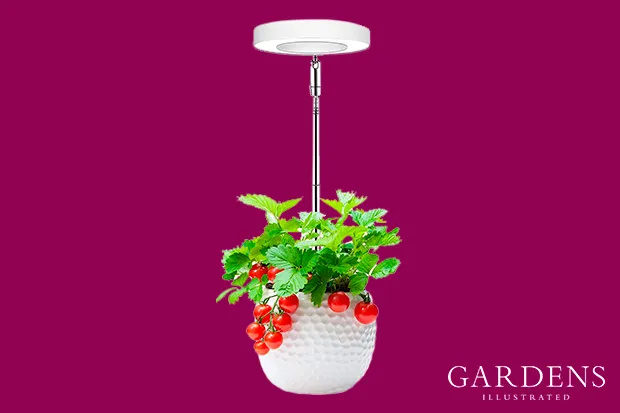 Growing Lamp with 3/9/12H Automatic Timer on a pink background