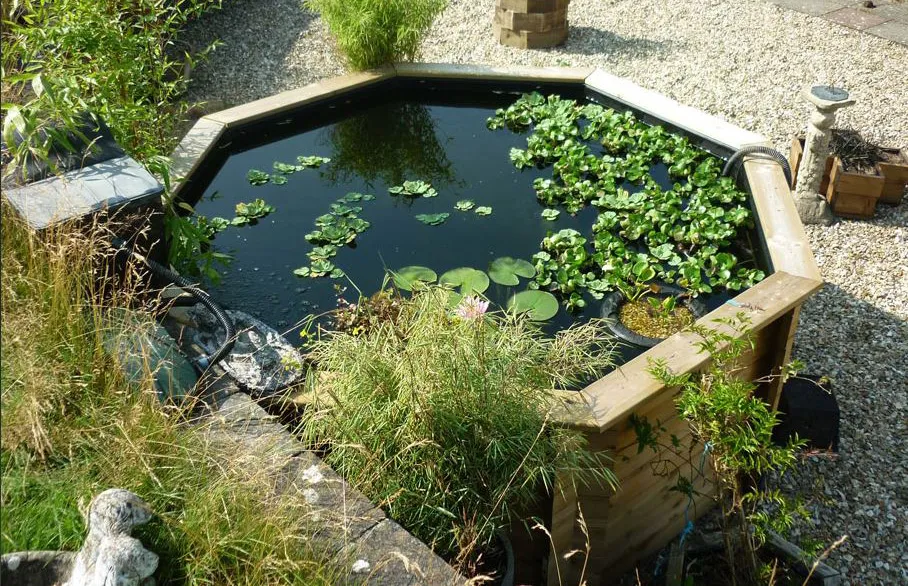 Octagonal Wooden Raised Pond in a garden