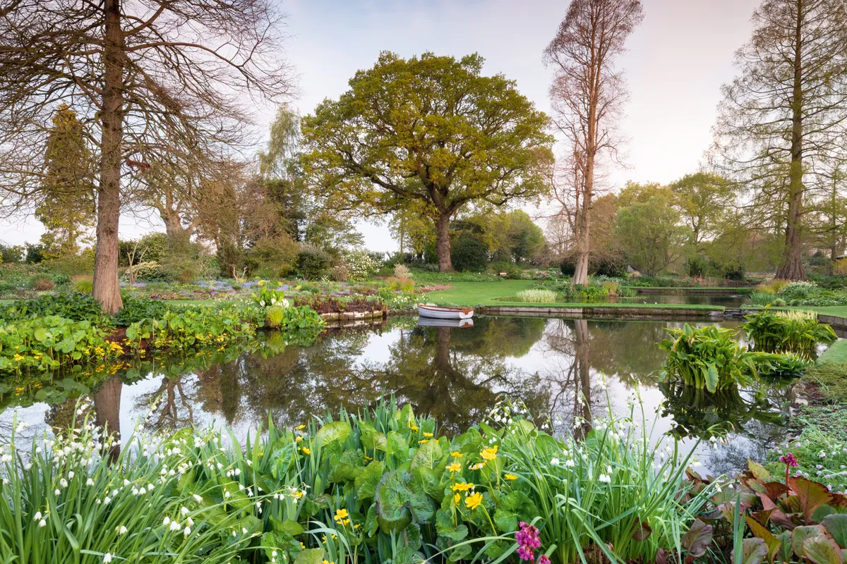 The Water Garden at Beth Chatto's Gardens in Spring.