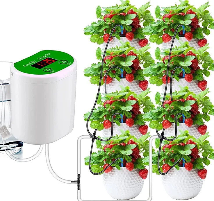 Indoor plants drip irrigation system