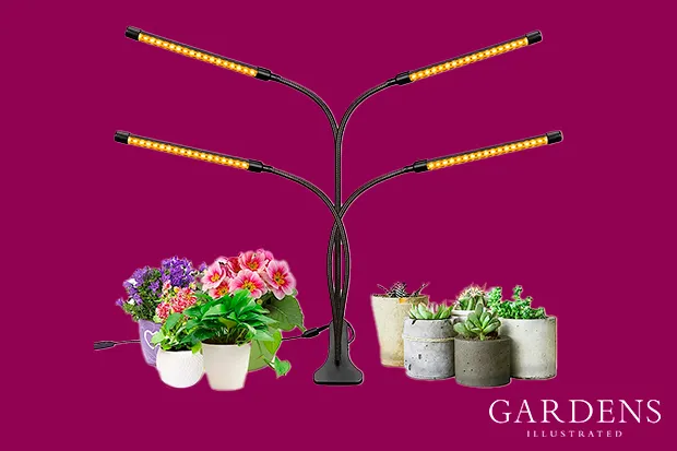 Sondiko Grow Light with plants on a pink background