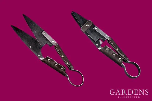 Topiary Shears with Brown Leather Handles on a pink background