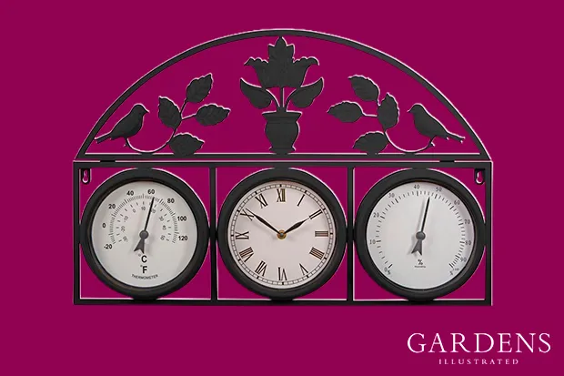 Garden Wall Clock on a pink background
