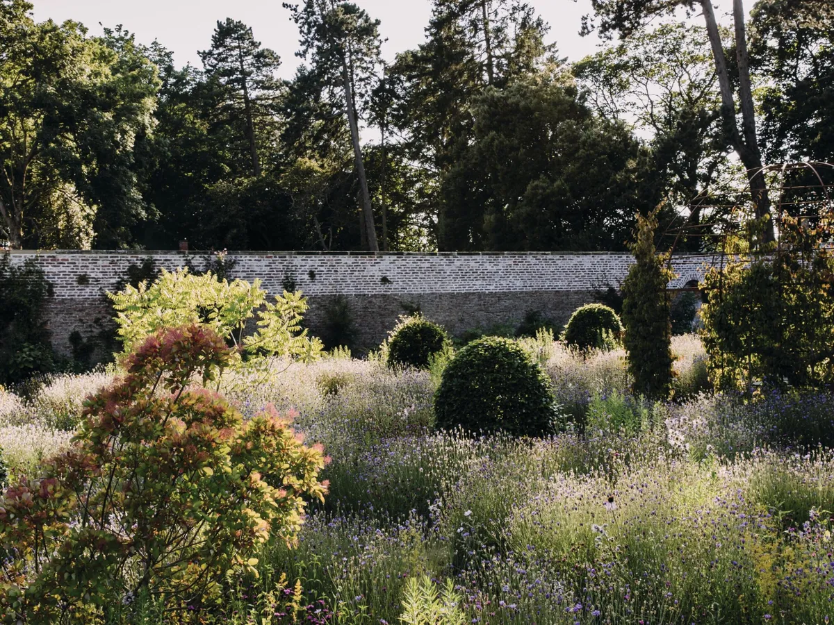 Middleton Lodge Garden designed by Tom Stuart-Smith