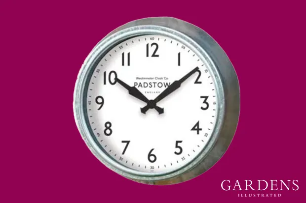 Smart Garden Padstow Wall Clock on a pink background