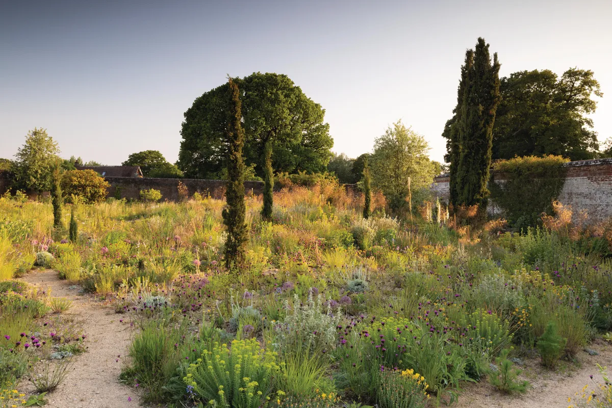 Knepp Castle: The rewilded Walled Garden