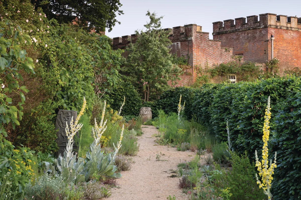 Knepp Castle: The rewilded Walled Garden