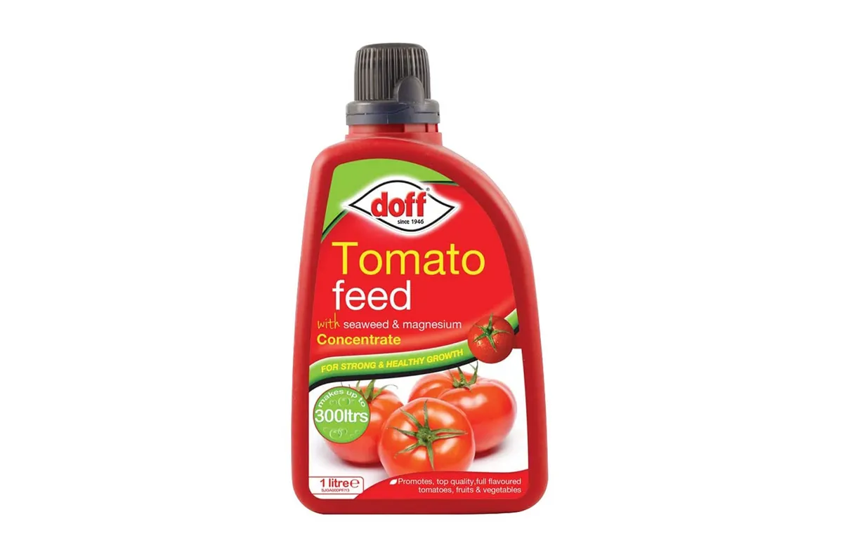 doff tomato food