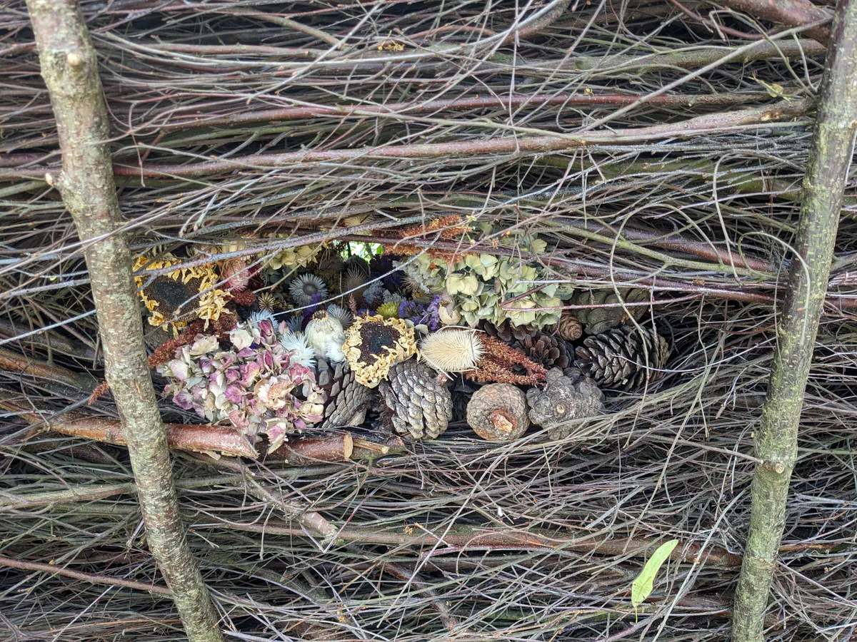 Hampton Court Flower Show: RHS Garden Wisley dead hedge display decorative habitat