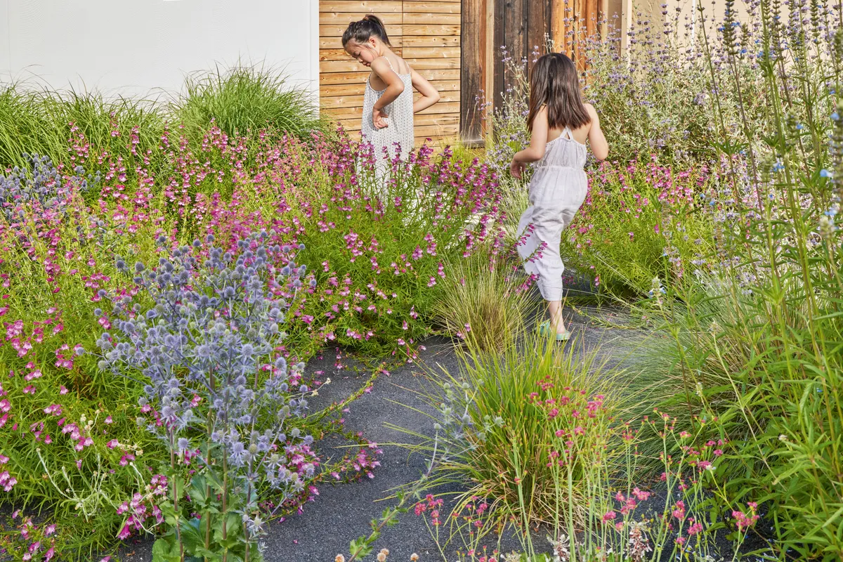 A wildlife and child-friendly garden in California - Gardens Illustrated