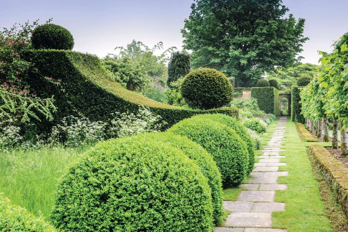 Topiary and brick path at Rockcliffe Garden in Gloucestershire.