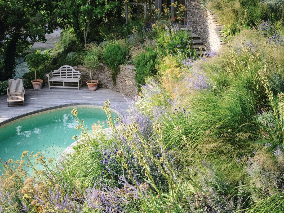 The slope leading down to the pool is seething with grasses that contrast with the upright stems of eryngiums and ornamental fennels. Stone walls are used to retain the soil on this steep site.