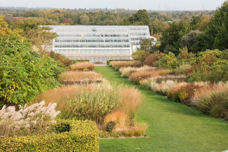 View of flower borders and the Glasshouse in Autumn at RHS Garden WIsley