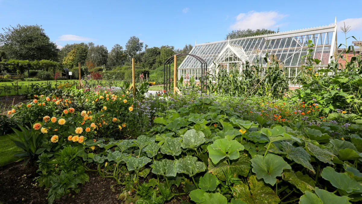 Alitex glasshouse with Garden Organic veg patch