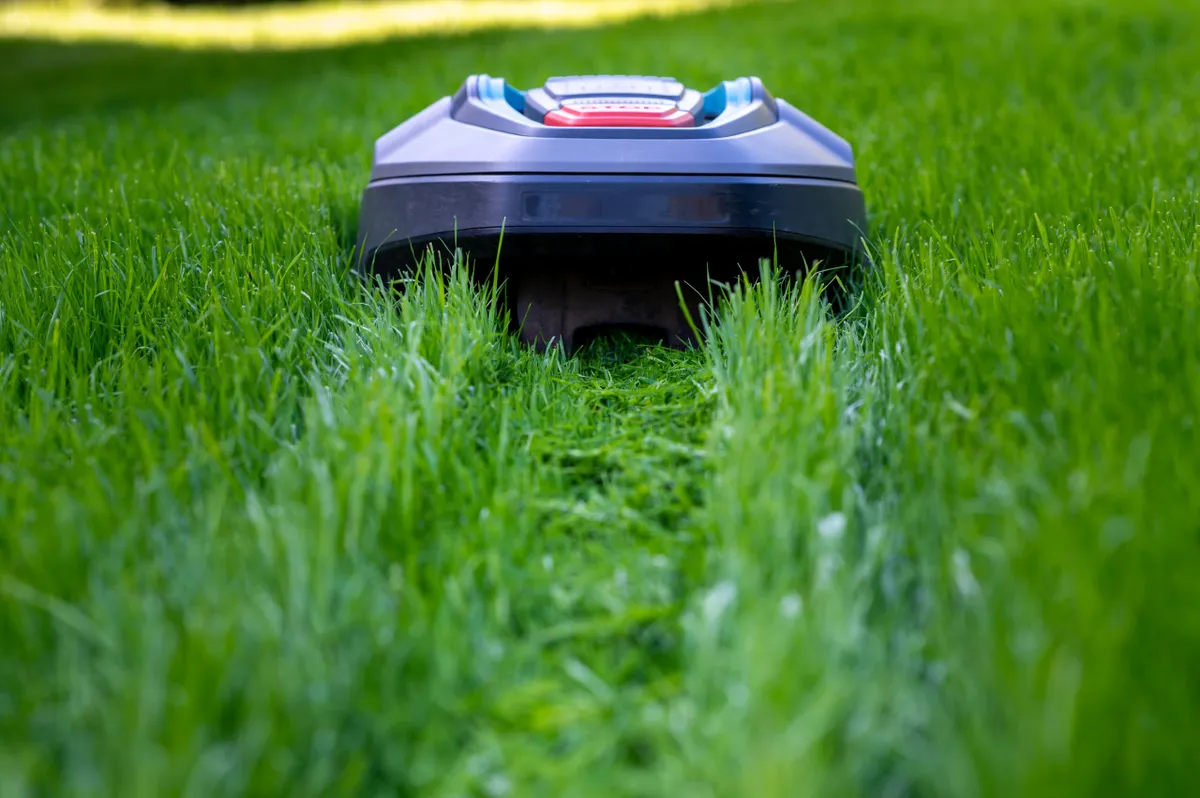 Robot mower cutting high grass. © Getty