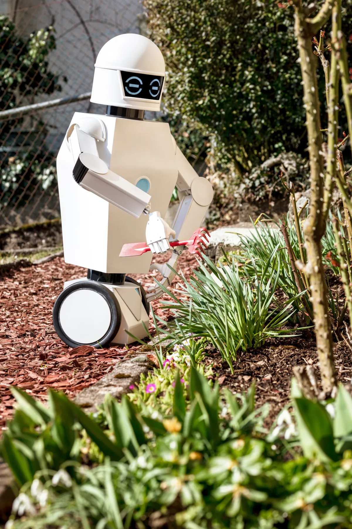 Service robot is gardening with a garden tool by sunlight © Getty