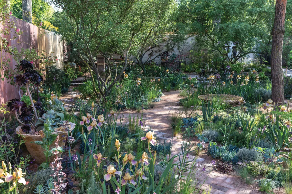 Sarah Price's Nurture Landscapes garden at Chelsea 2023