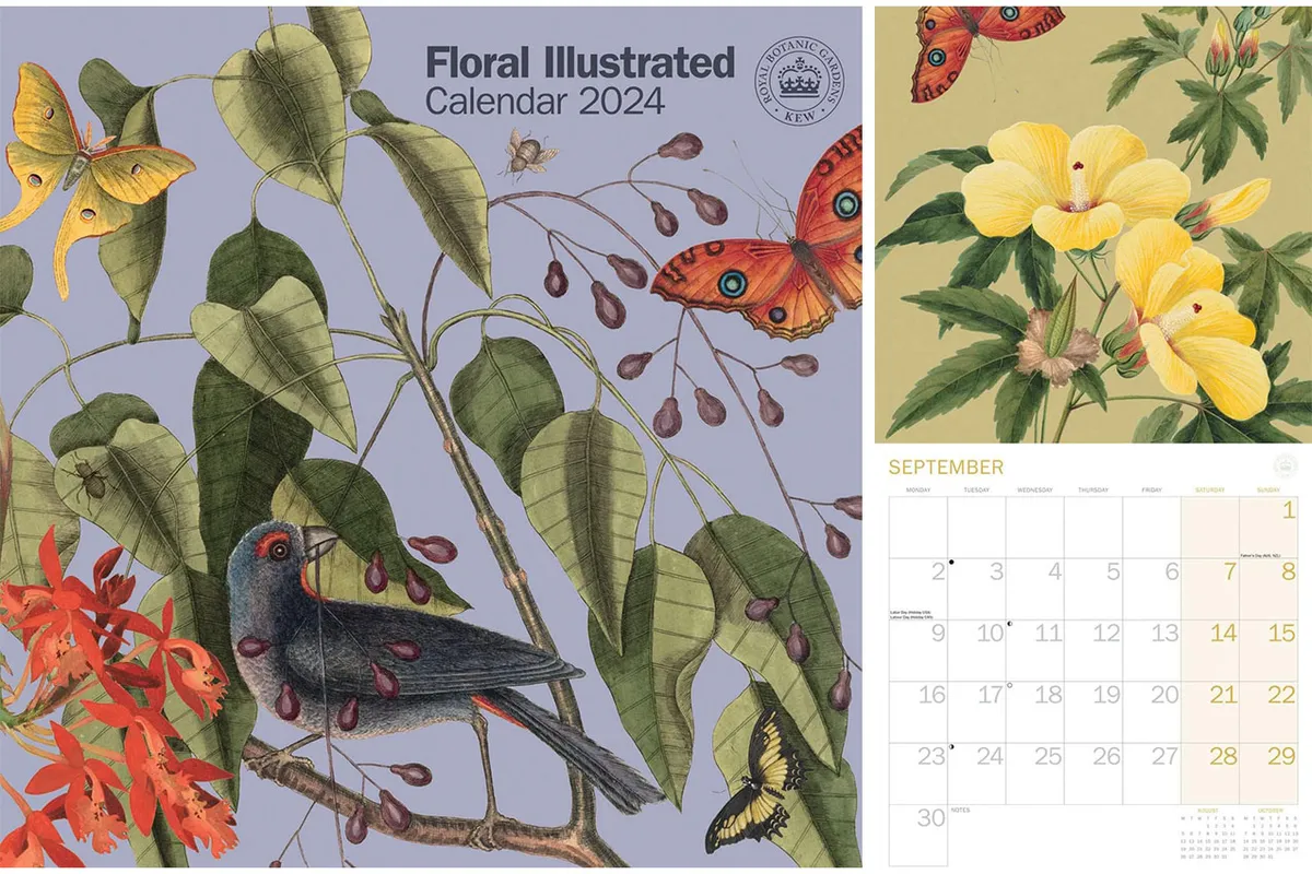 https://c02.purpledshub.com/uploads/sites/40/2023/09/Royal-Botanic-Gardens-Kew-Floral-Illustrated-2024-Calendar.jpg?webp=1&w=1200